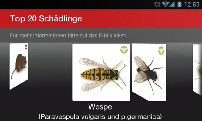 Schädlingsbestimmung android App screenshot 2